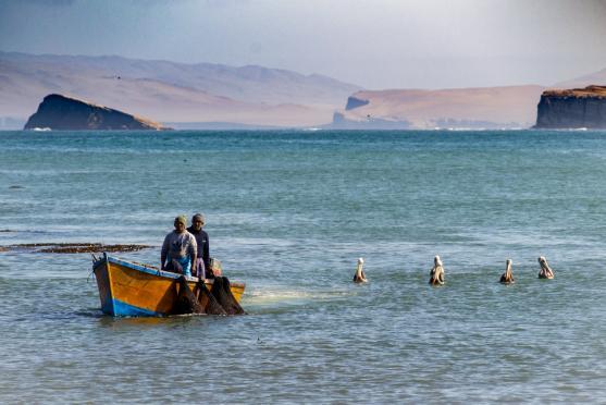 Nos marins (1)