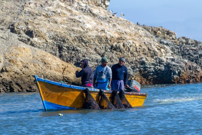 Nos marins (2)